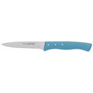 Expert Steakmes 11cm blauw