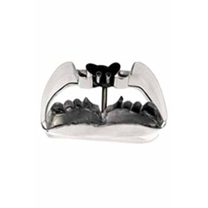 Découpeur chauve souris petit modèle - Dernière pcs