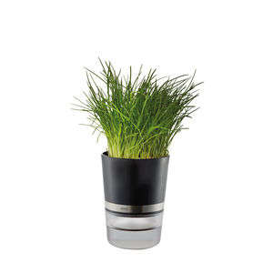 Pot à herbes BOTANICO (3/6)
