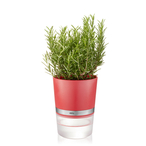 Pot à herbes Botanico rouge turqouise - LE 2021