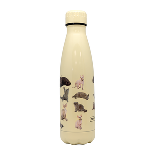 Gourde vacuüm 500ml chats (chaud et froid)