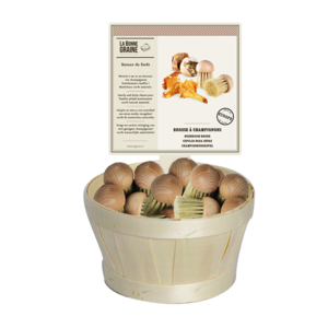 Champignonborstel hout - Display 22st.