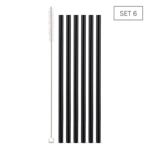 Pailles en verre borosilicate noir droits smoothie 24cm 6pcs + brosse