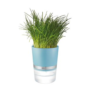 Pot à herbes Botanico rouge turqouise - LE 2022